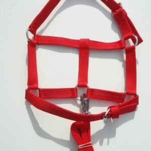 Bozal - accesorio equino