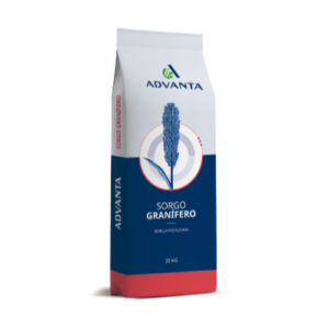 ADV 1151 IG Granífero - semilla de sorgo